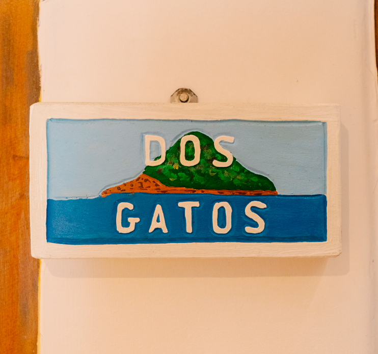 Dos Gatos - 4